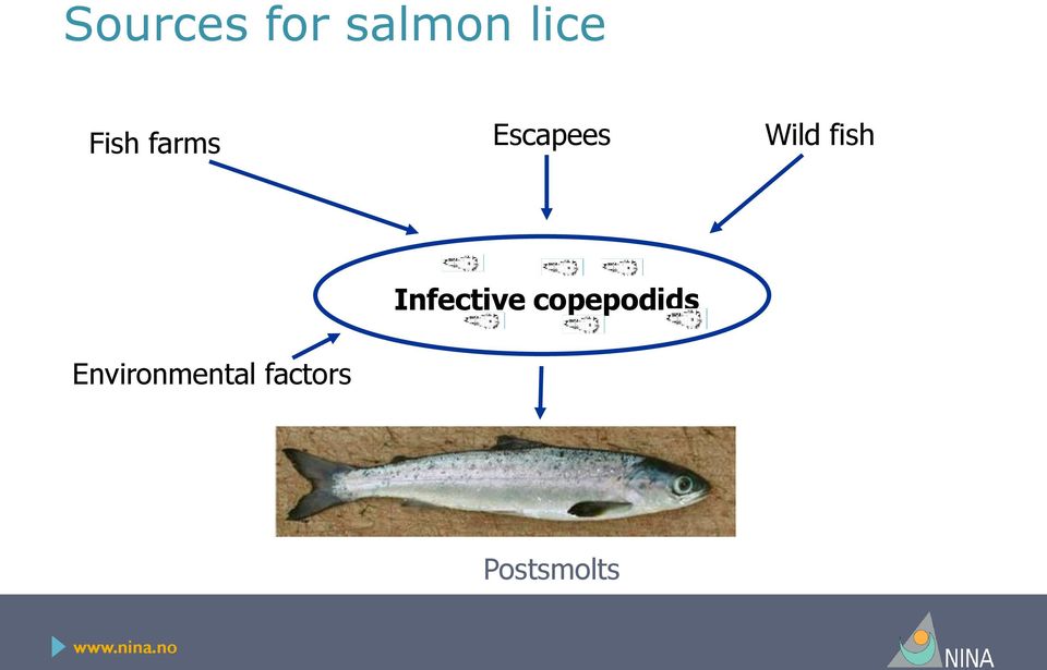 fish Environmental factors