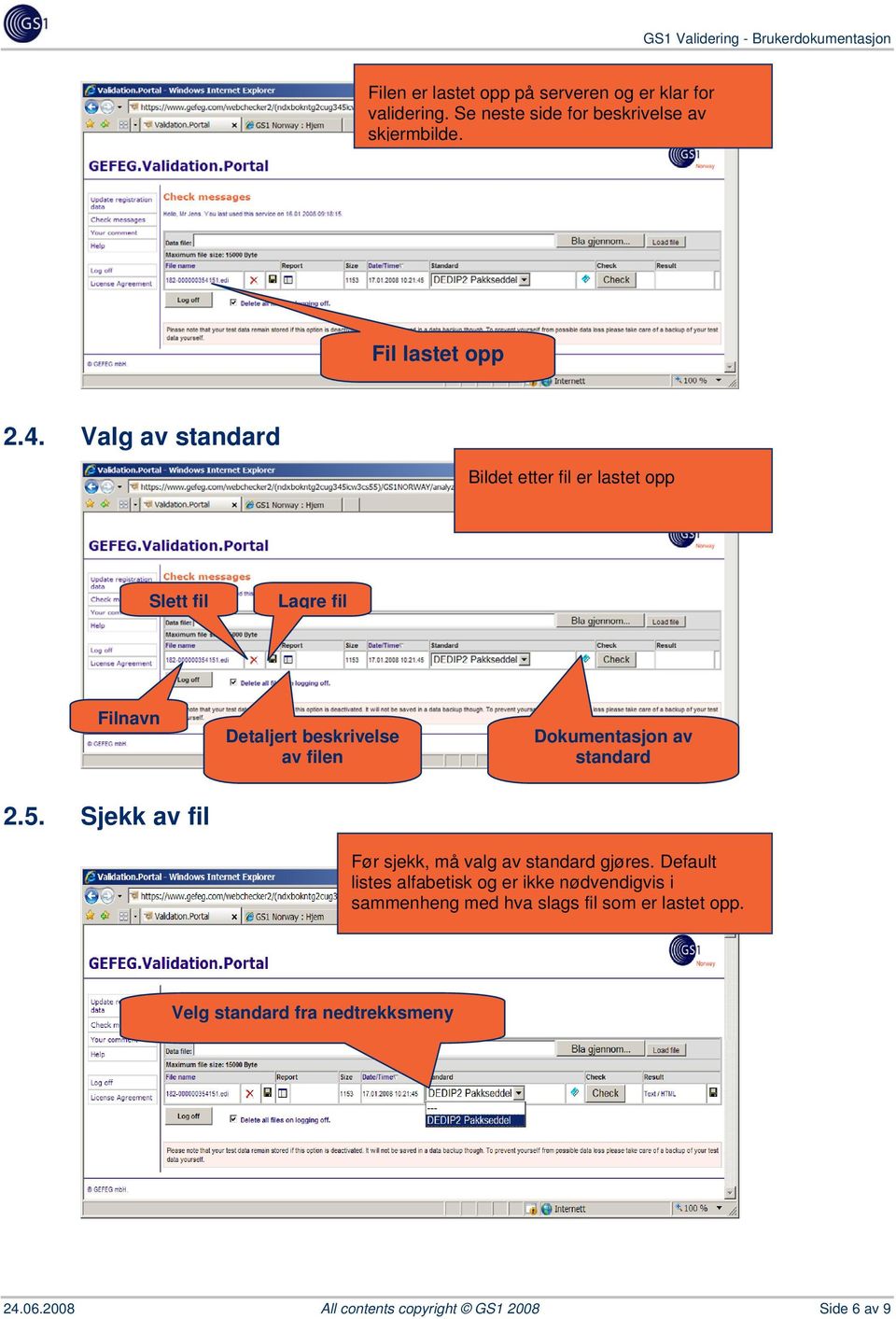 standard 2.5. Sjekk av fil Før sjekk, må valg av standard gjøres.