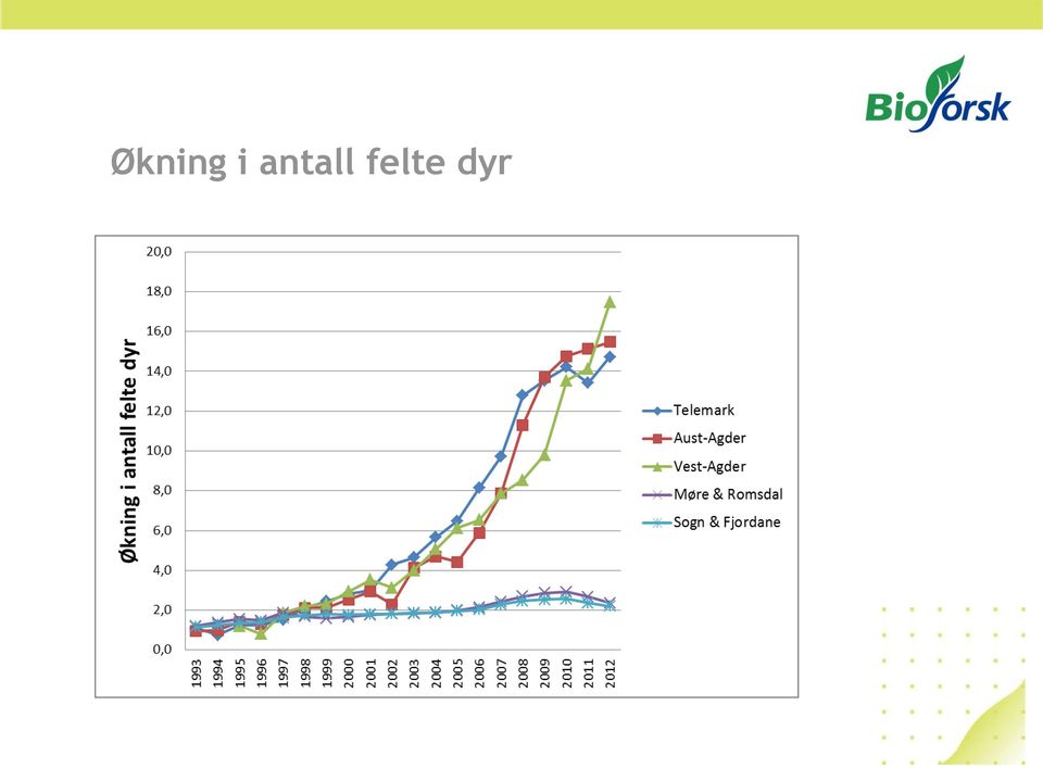 felte dyr