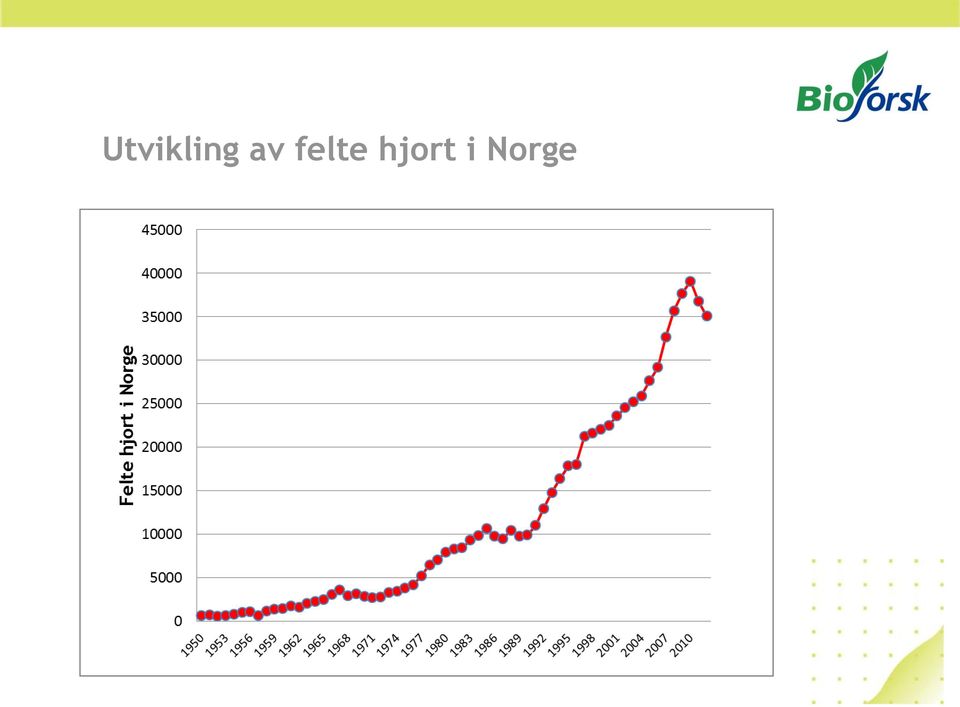 hjort i