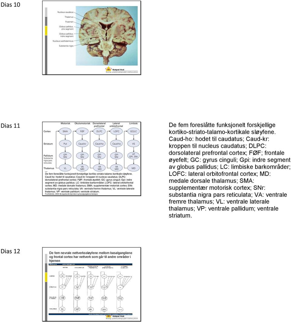 barkområder; LOFC: lateral orbitofrontal cortex; MD: medale dorsale thalamus; SMA: supplementær motorisk cortex; SNr: substantia nigra pars reticulata; VA: ventrale fremre thalamus; VL: ventrale