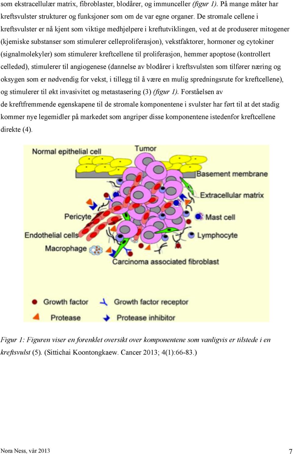 hormoner og cytokiner (signalmolekyler) som stimulerer kreftcellene til proliferasjon, hemmer apoptose (kontrollert celledød), stimulerer til angiogenese (dannelse av blodårer i kreftsvulsten som