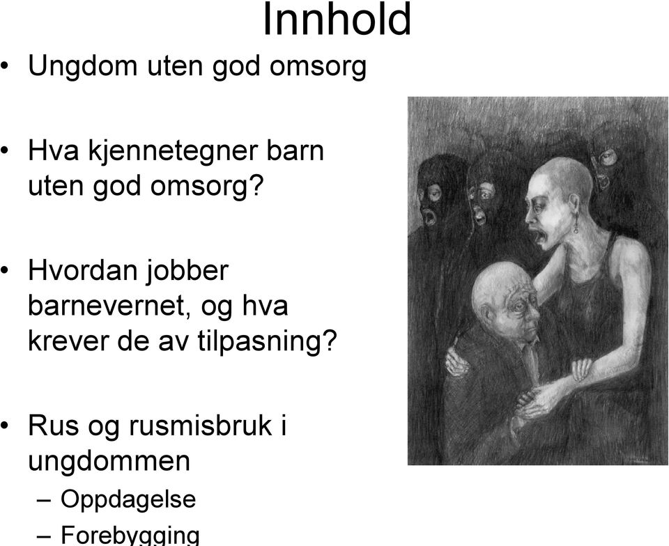 Hvordan jobber barnevernet, og hva krever de