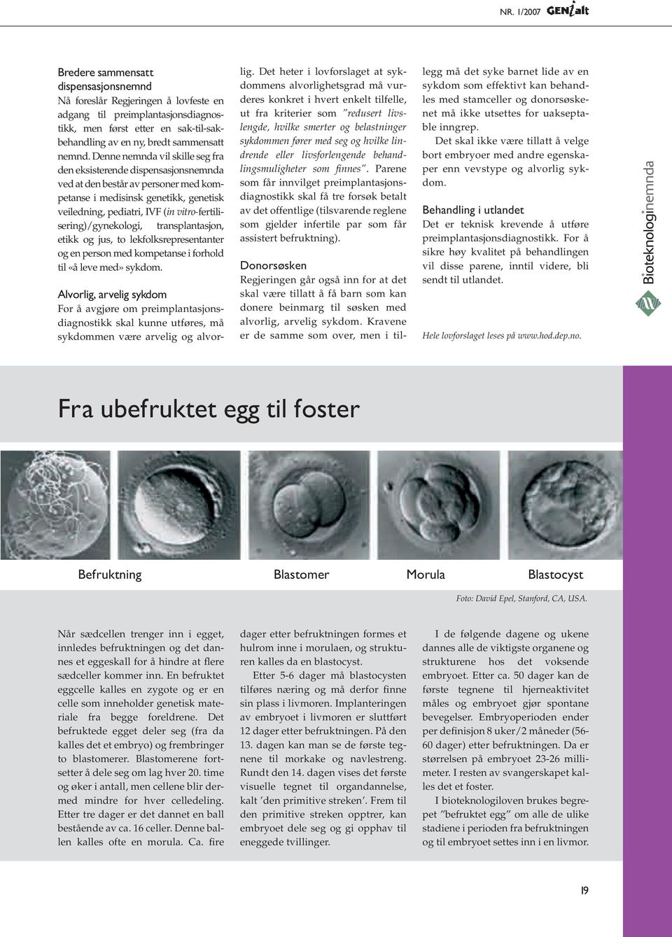 vitro-fertilisering)/gynekologi, transplantasjon, etikk og jus, to lekfolksrepresentanter og en person med kompetanse i forhold til «å leve med» sykdom.