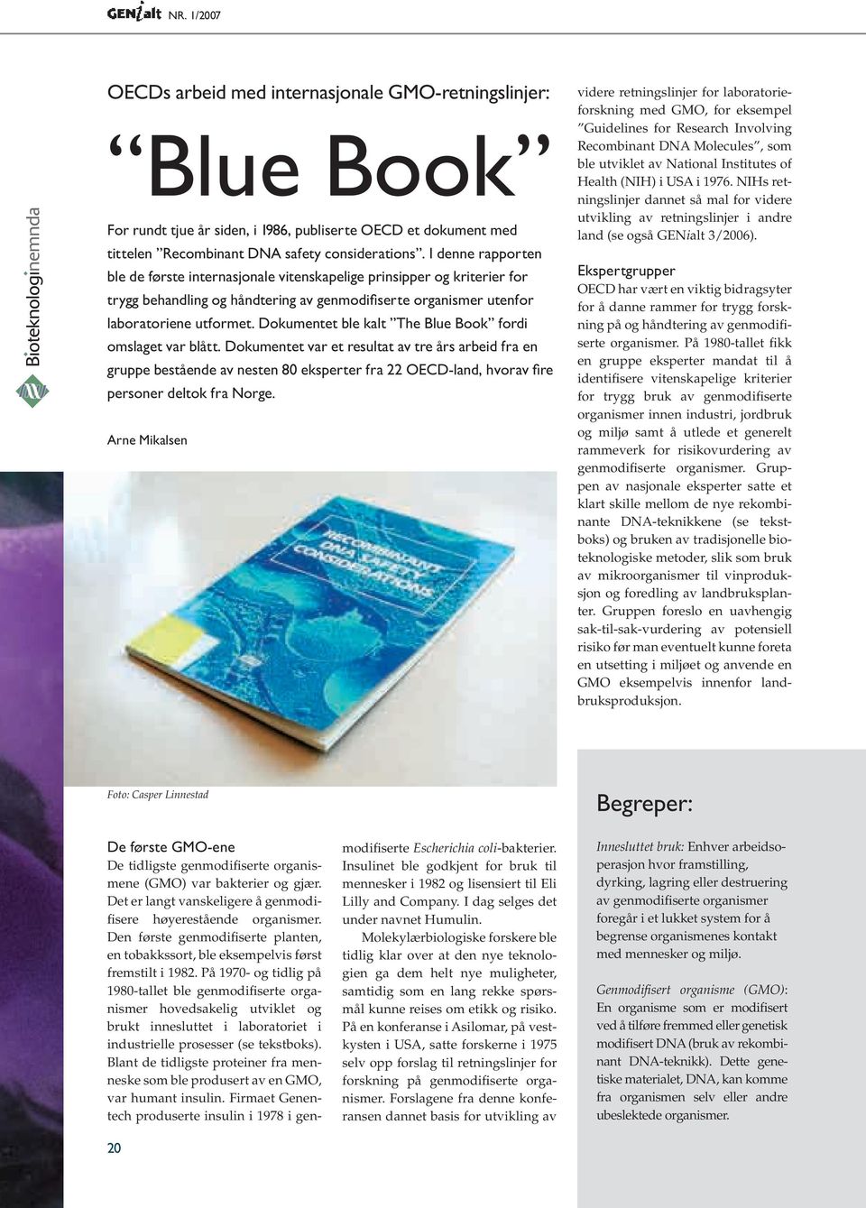 Dokumentet ble kalt The Blue Book fordi omslaget var blått.