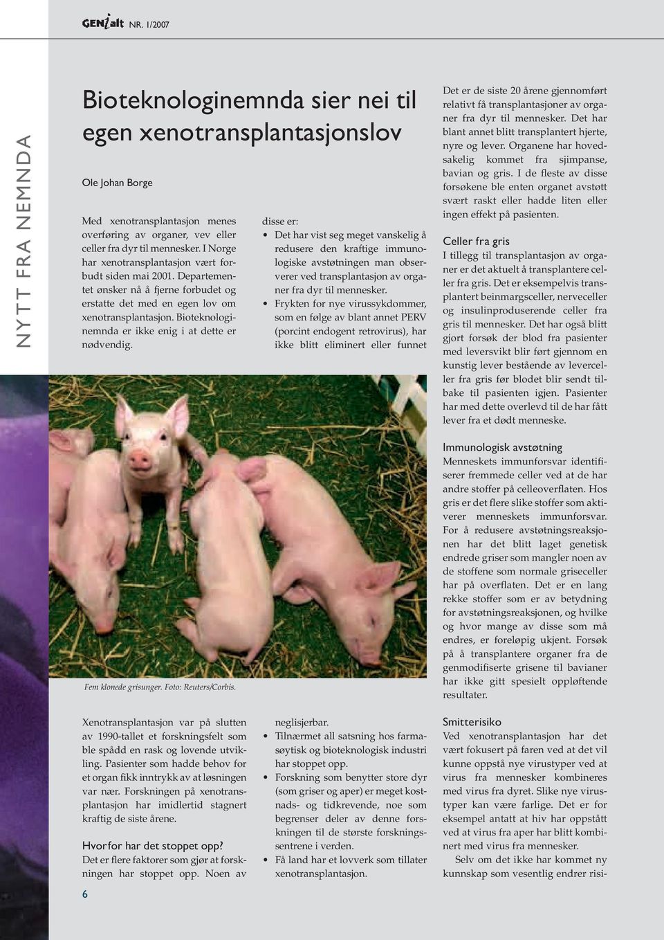 Bioteknologinemnda er ikke enig i at dette er nødvendig. Fem klonede grisunger. Foto: Reuters/Corbis.