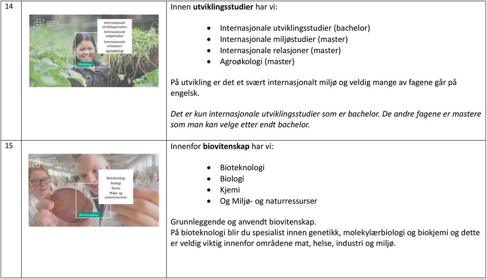 Det er kun internasjonale utviklingsstudier som er bachelor. De andre fagene er mastere som man kan velge etter endt bachelor.