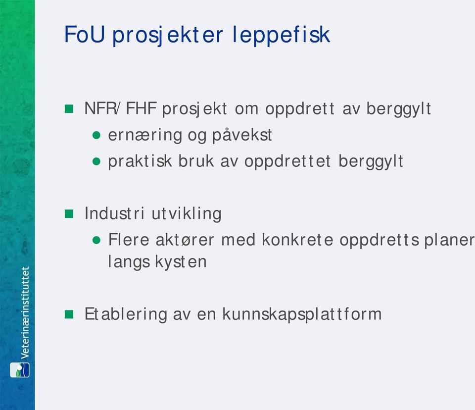 berggylt Industri utvikling Flere aktører med konkrete