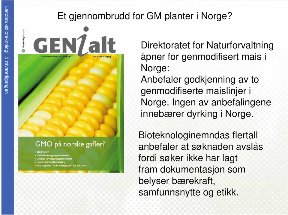 av to genmodifiserte maislinjer i Norge. Ingen av anbefalingene innebærer dyrking i Norge.