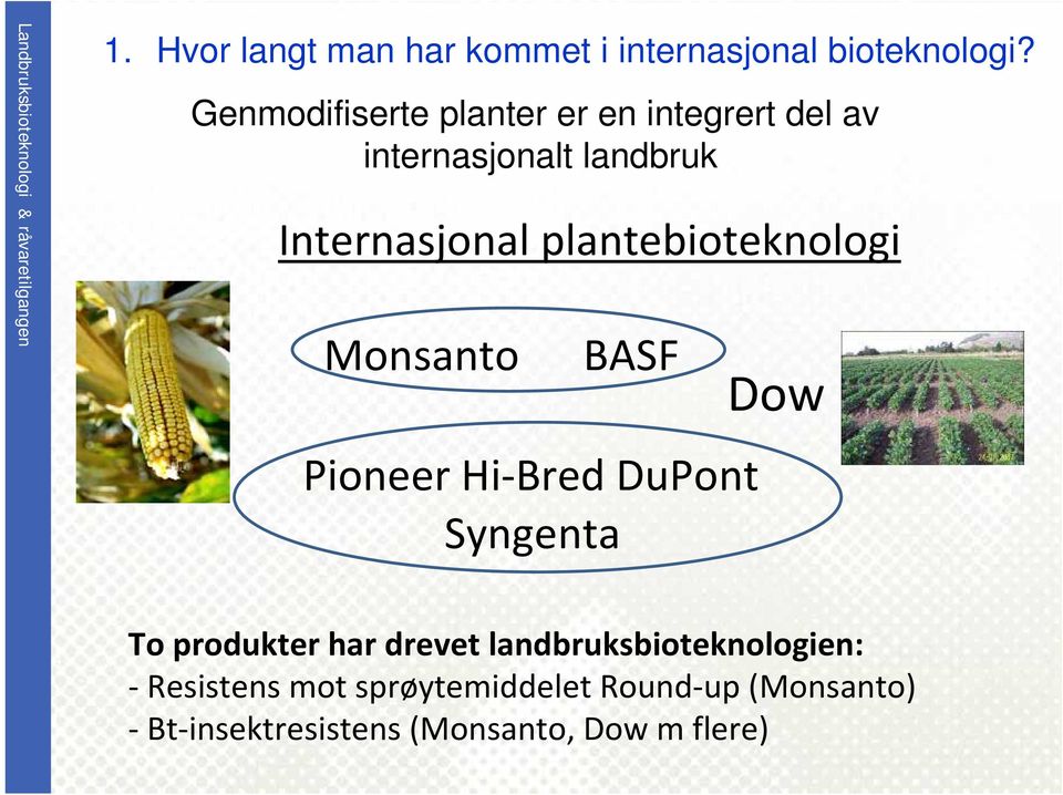 plantebioteknologi Monsanto BASF Pioneer Hi Bred DuPont Syngenta Dow 4 To produkter har
