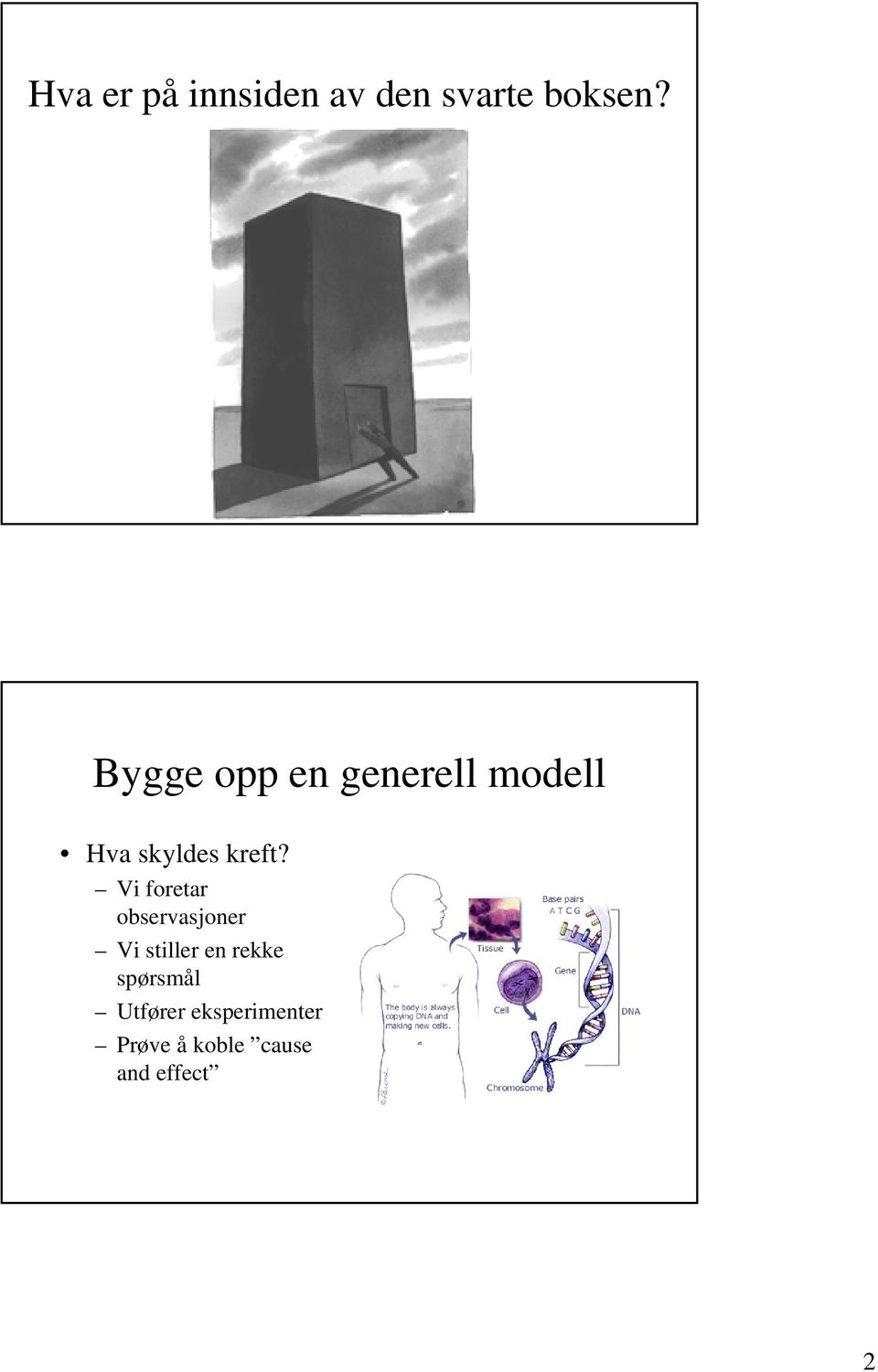 Vi foretar observasjoner Vi stiller en rekke