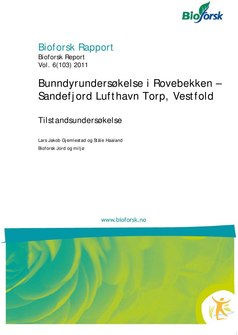 Sandefjord Lufthavn Torp, Vestfold