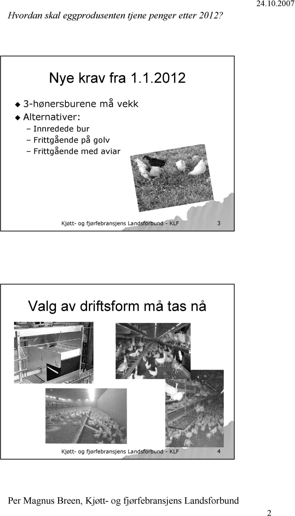 Frittgående på golv Frittgående med aviar Kjøtt- og