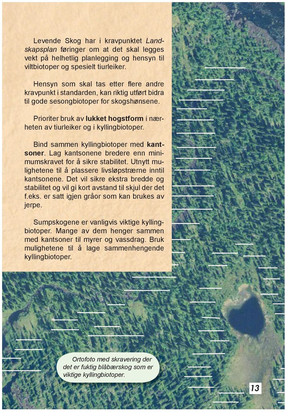 Prioriter bruk av lukket hogstform i nærheten av tiurleiker og i kyllingbiotoper. Bind sammen kyllingbiotoper med kantsoner. Lag kantsonene bredere enn minimumskravet for å sikre stabilitet.