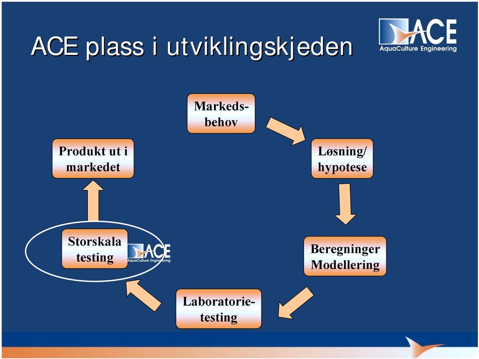 hypotese Storskala testing