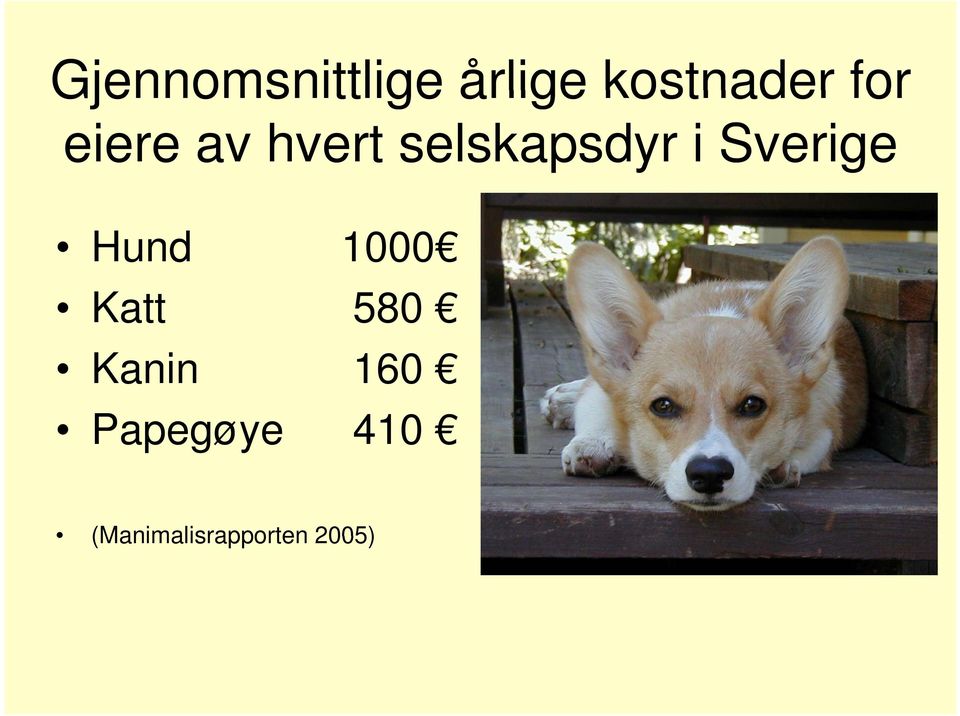 Sverige Hund 1000 Katt 580 Kanin