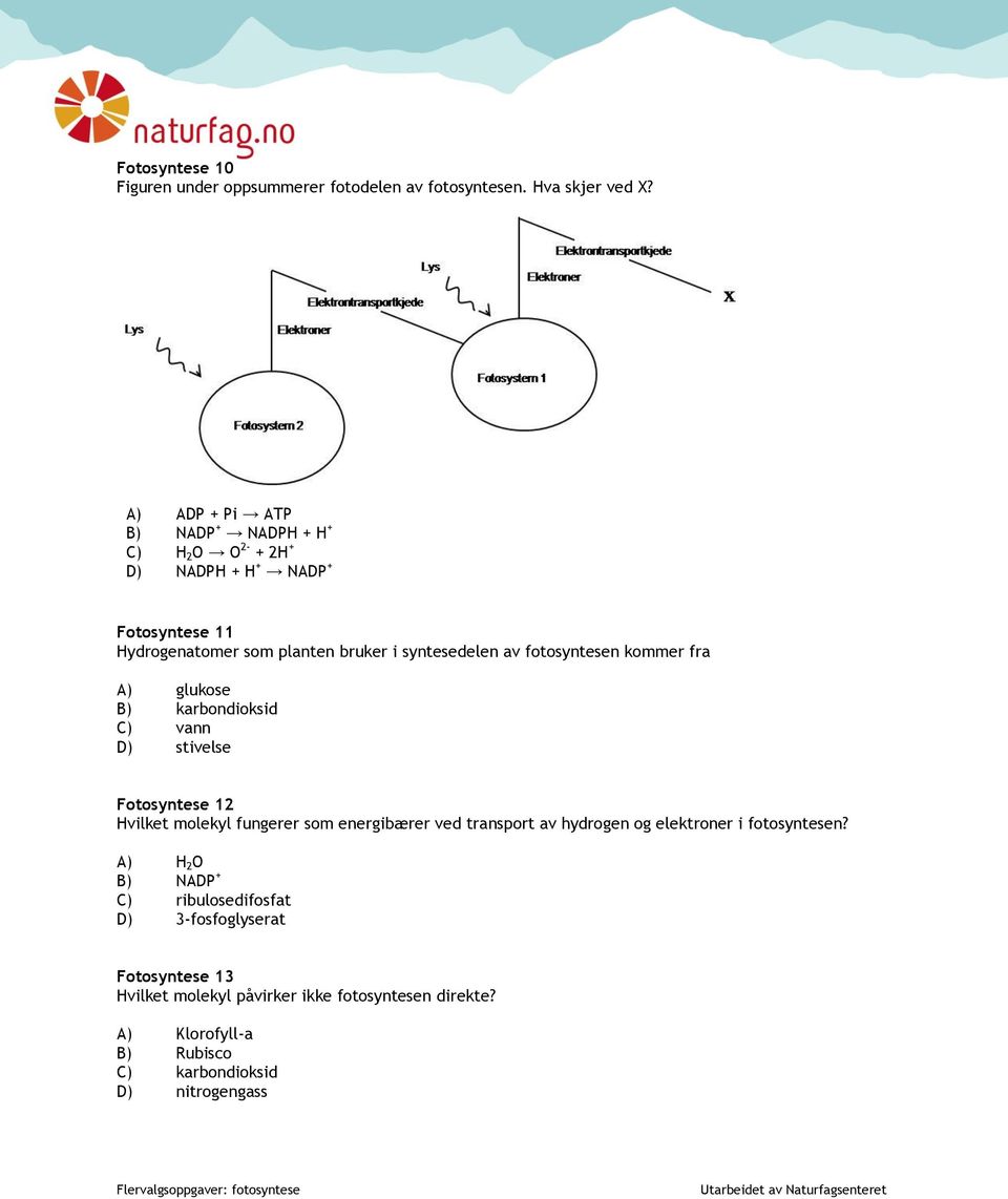 fotosyntesen kommer fra A) glukose B) karbondioksid C) vann D) stivelse Fotosyntese 12 Hvilket molekyl fungerer som energibærer ved transport av