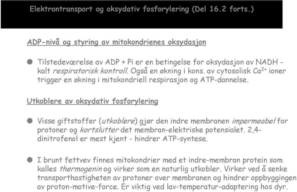 av cytosolisk Ca 2+ ioner trigger en økning i mitokondriell respirasjon og ATP-dannelse.