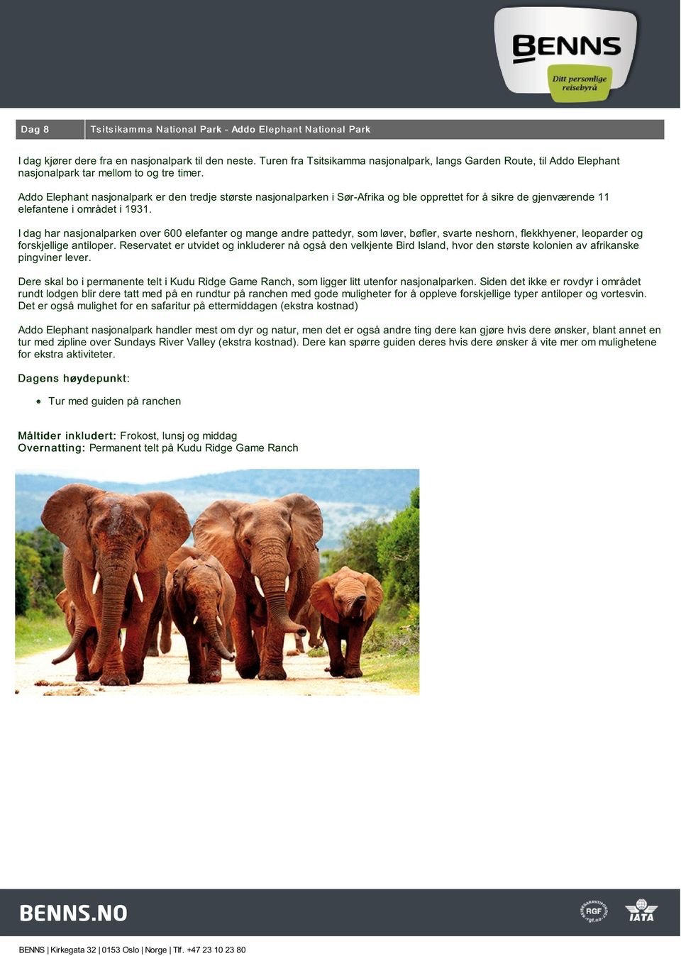 Addo Elephant nasjonalpark er den tredje største nasjonalparken i Sør-Afrika og ble opprettet for å sikre de gjenværende 11 elefantene i området i 1931.