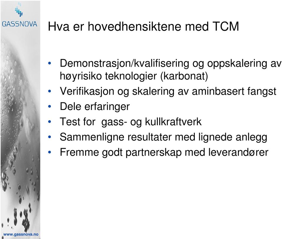 skalering av aminbasert fangst Dele erfaringer Test for gass- og