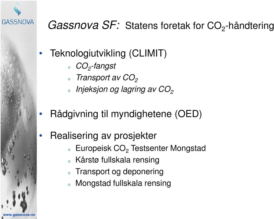 myndighetene (OED) Realisering av prosjekter o o o o Europeisk CO 2 Testsenter