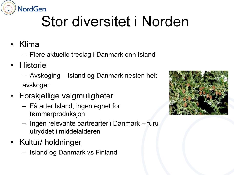 valgmuligheter Få arter Island, ingen egnet for tømmerproduksjon Ingen relevante