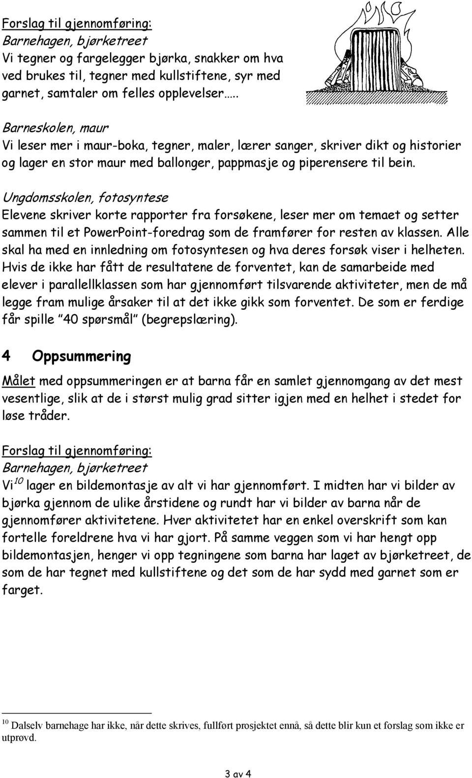 Elevene skriver korte rapporter fra forsøkene, leser mer om temaet og setter sammen til et PowerPoint-foredrag som de framfører for resten av klassen.