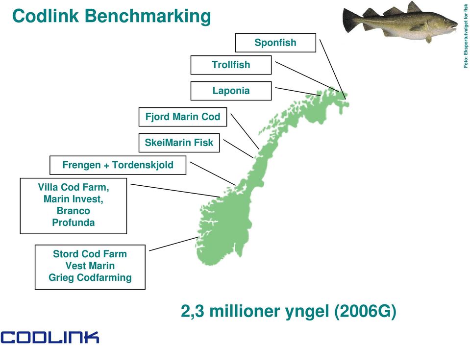 Invest, Branco Profunda SkeiMarin Fisk Stord Cod Farm