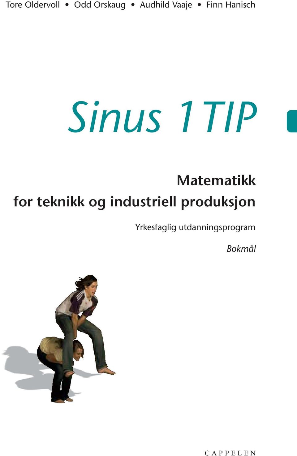 Matematikk for teknikk og industriell