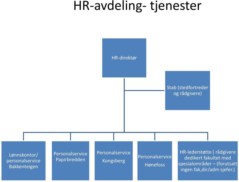 Personalservice Kongsberg Personalservice Hønefoss HR-lederstøtte (