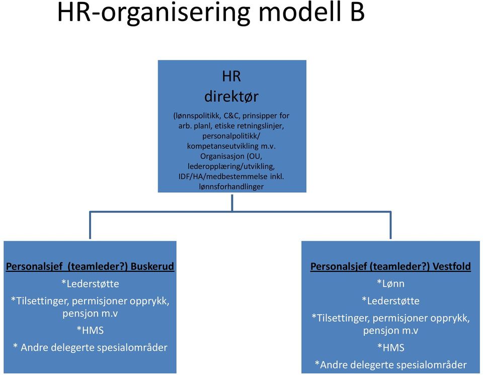 kling m.v. Organisasjon (OU, lederopplæring/utvikling, IDF/HA/medbestemmelse inkl. lønnsforhandlinger Personalsjef (teamleder?