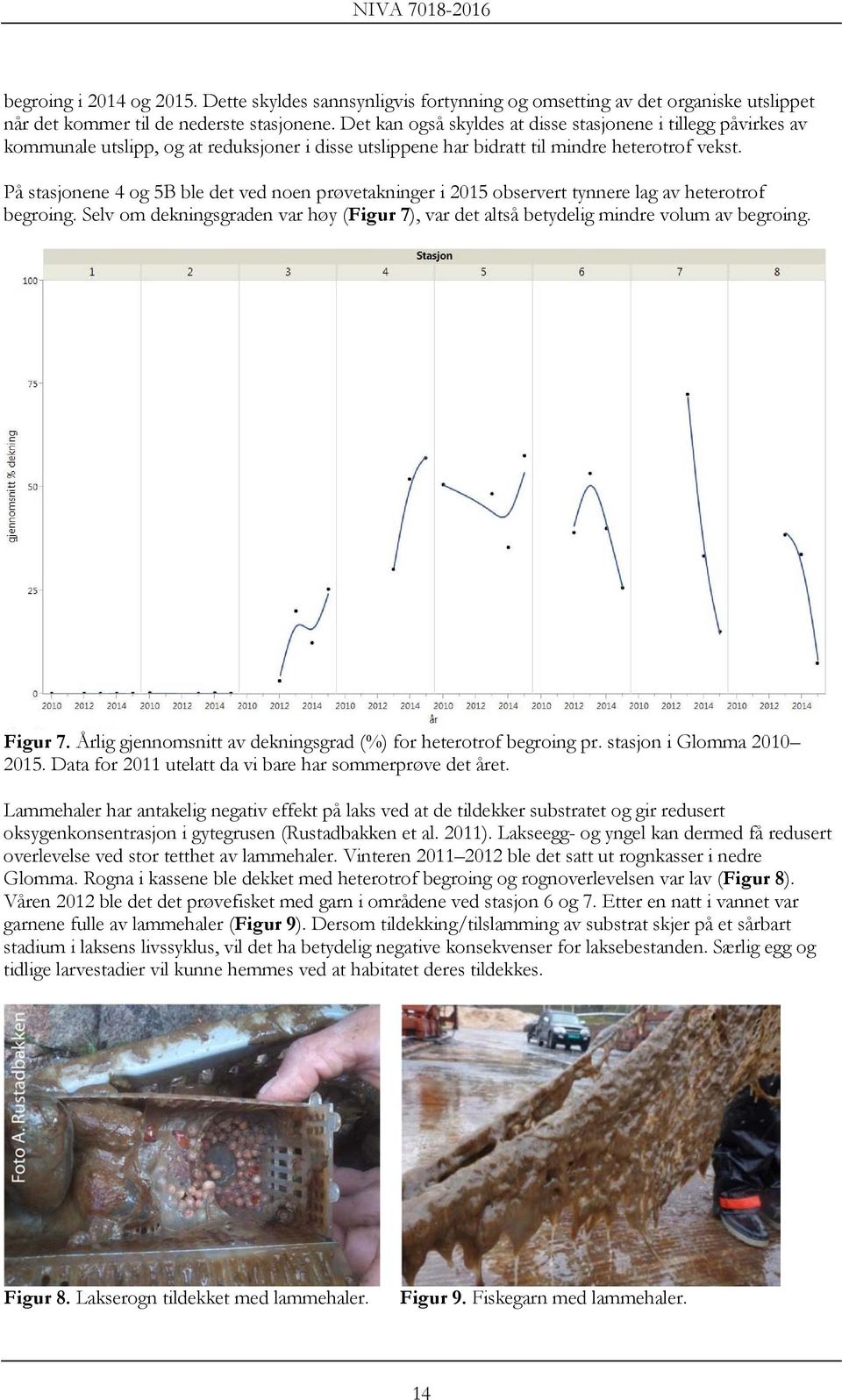 På stasjonene 4 og 5B ble det ved noen prøvetakninger i 2015 observert tynnere lag av heterotrof begroing. Selv om dekningsgraden var høy (Figur 7), var det altså betydelig mindre volum av begroing.