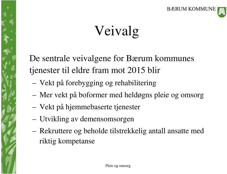 heldøgns pleie og omsorg Vekt på hjemmebaserte tjenester Utvikling av