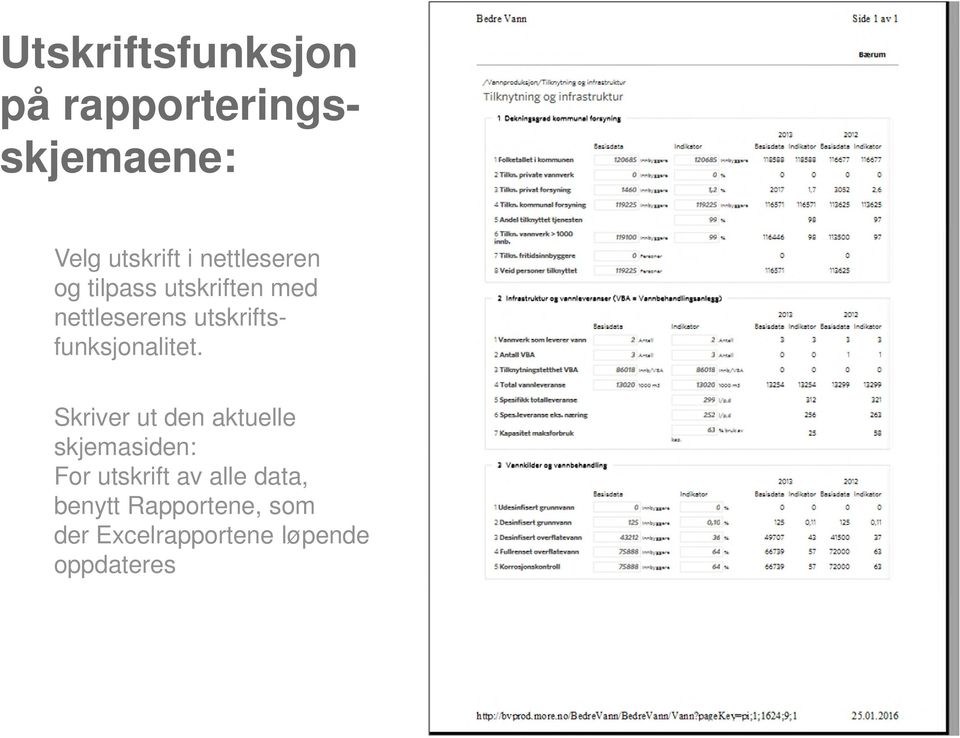 utskriftsfunksjonalitet.