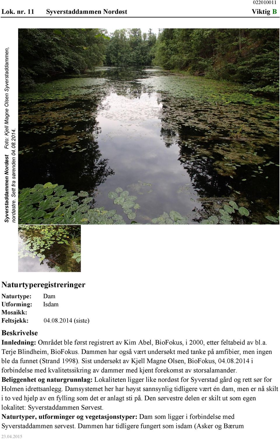 2014 (siste) Beskrivelse Innledning: Området ble først registrert av Kim Abel, BioFokus, i 2000, etter feltabeid av bl.a. Terje Blindheim, BioFokus.