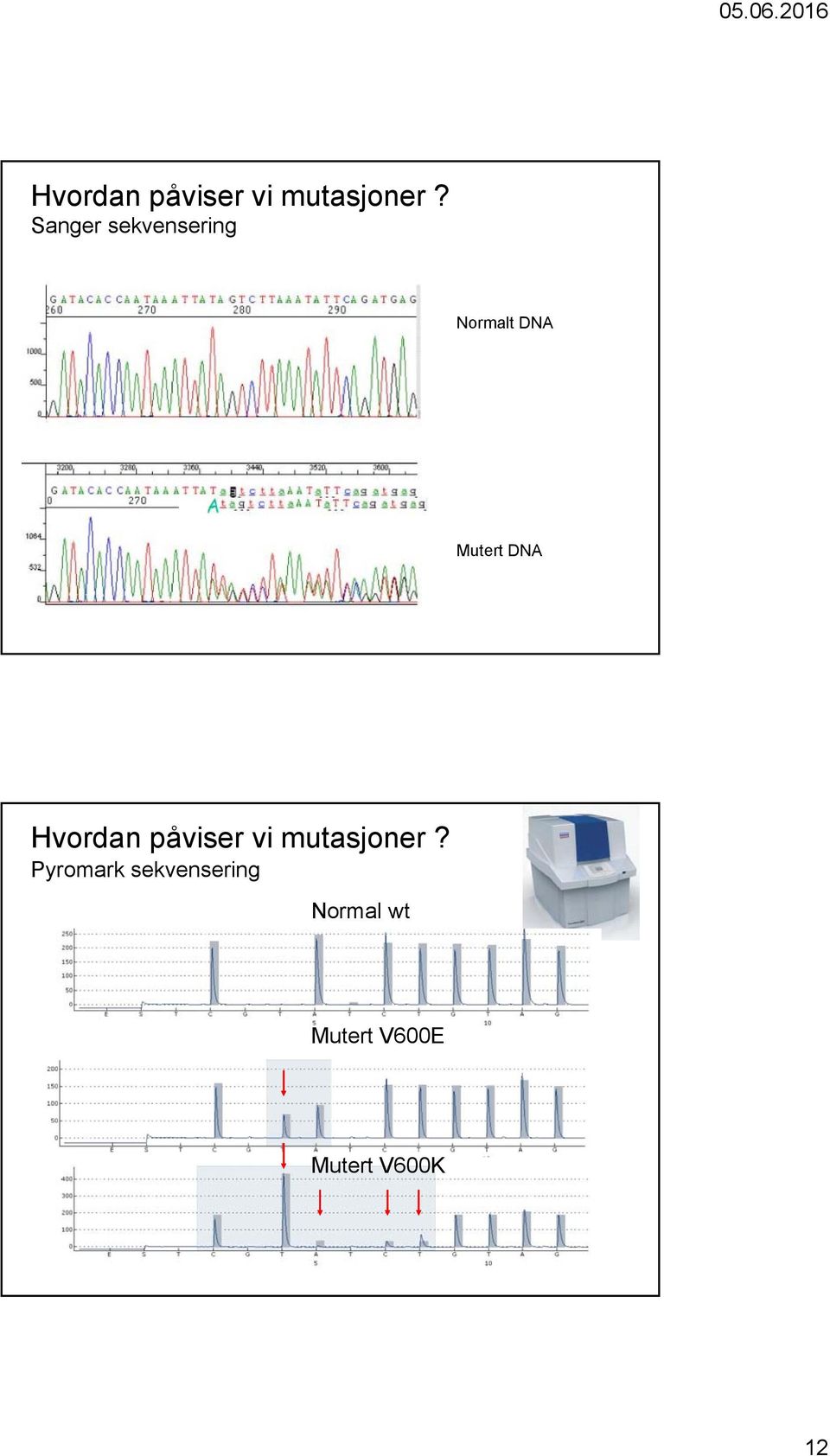 DNA  Pyromark sekvensering Normal wt