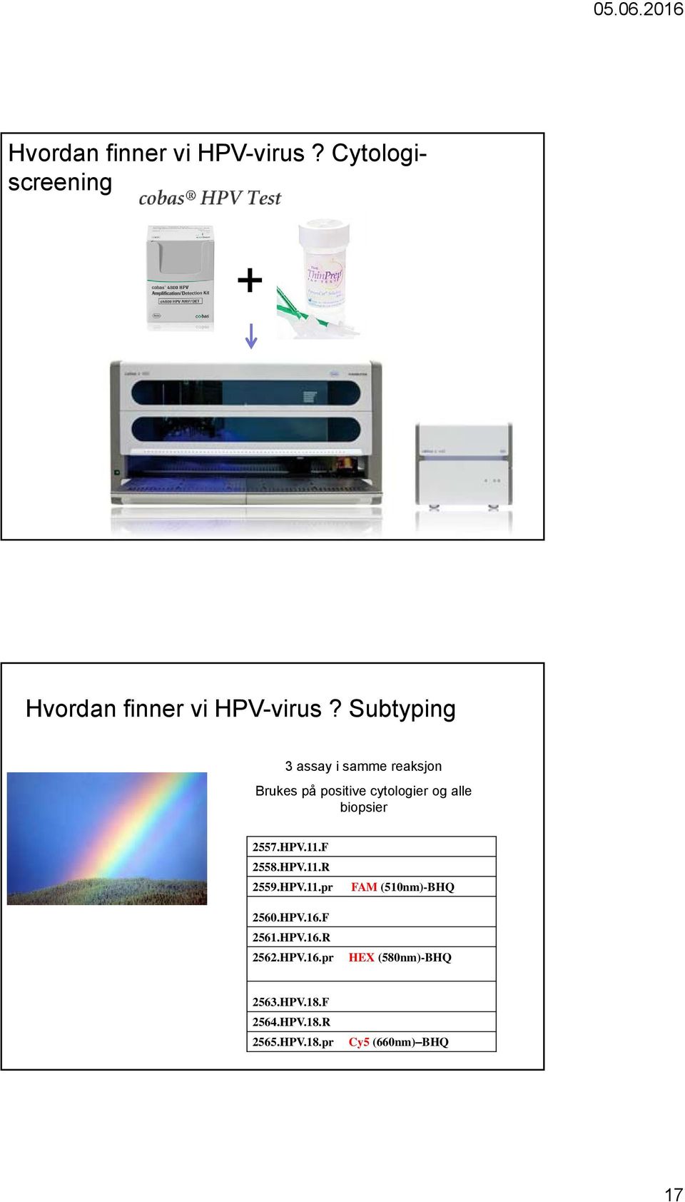 2557.HPV.11.F 2558.HPV.11.R 2559.HPV.11.pr 2560.HPV.16.