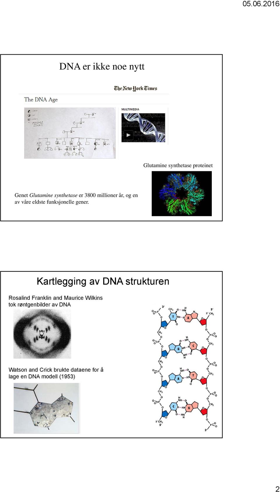 Kartlegging av DNA strukturen Rosalind Franklin and Maurice Wilkins tok