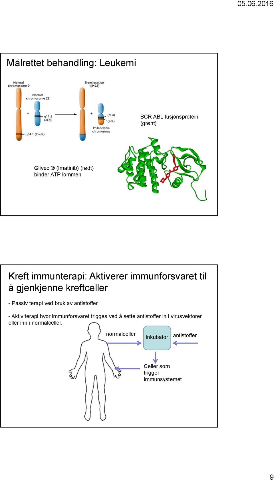 bruk av antistoffer - Aktiv terapi hvor immunforsvaret trigges ved å sette antistoffer in i