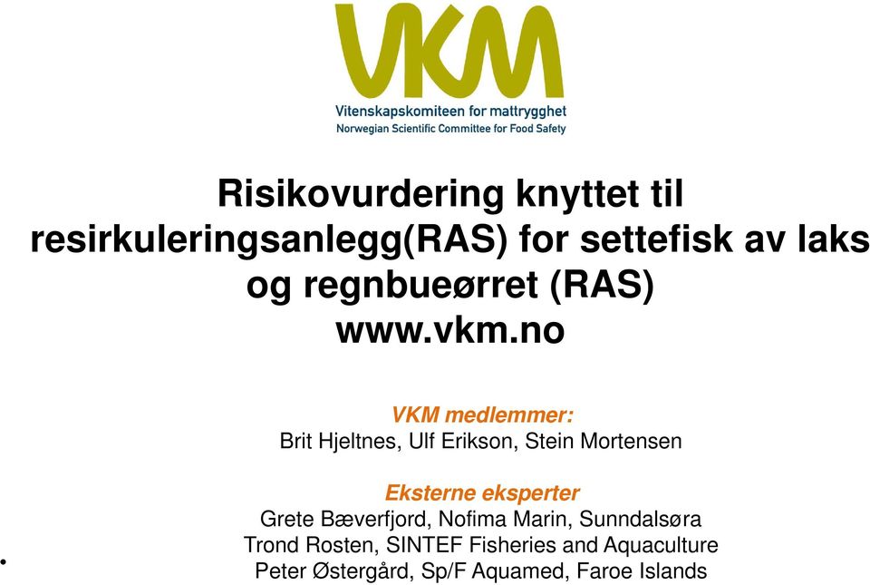no VKM medlemmer: Brit Hjeltnes, Ulf Erikson, Stein Mortensen Eksterne eksperter