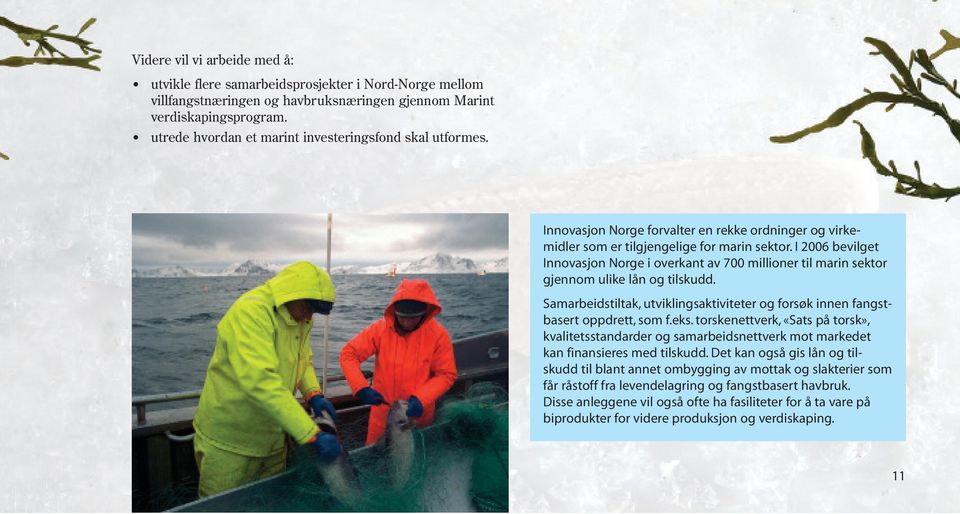 I 2006 bevilget Innovasjon Norge i overkant av 700 millioner til marin sektor gjennom ulike lån og tilskudd. Samarbeidstiltak, utviklingsaktiviteter og forsøk innen fangstbasert oppdrett, som f.eks.