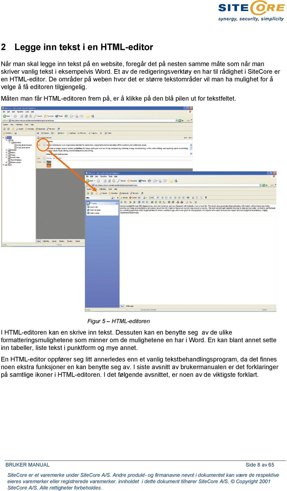 Måten man får HTML-editoren frem på, er å klikke på den blå pilen ut for tekstfeltet. Figur 5 HTML-editoren I HTML-editoren kan en skrive inn tekst.