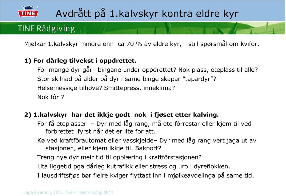 kalvskyr har det ikkje godt nok i fjøset etter kalving. For få eteplasser Dyr med låg rang, må ete fôrrestar eller kjem til ved forbrettet fyrst når det er lite for att.