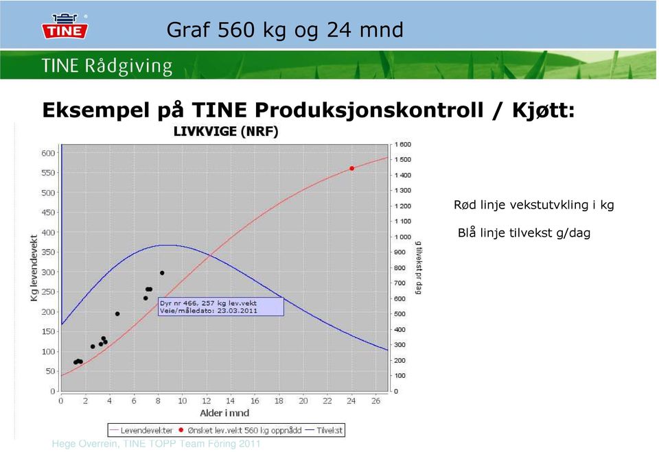 Kjøtt: Rød linje vekstutvkling