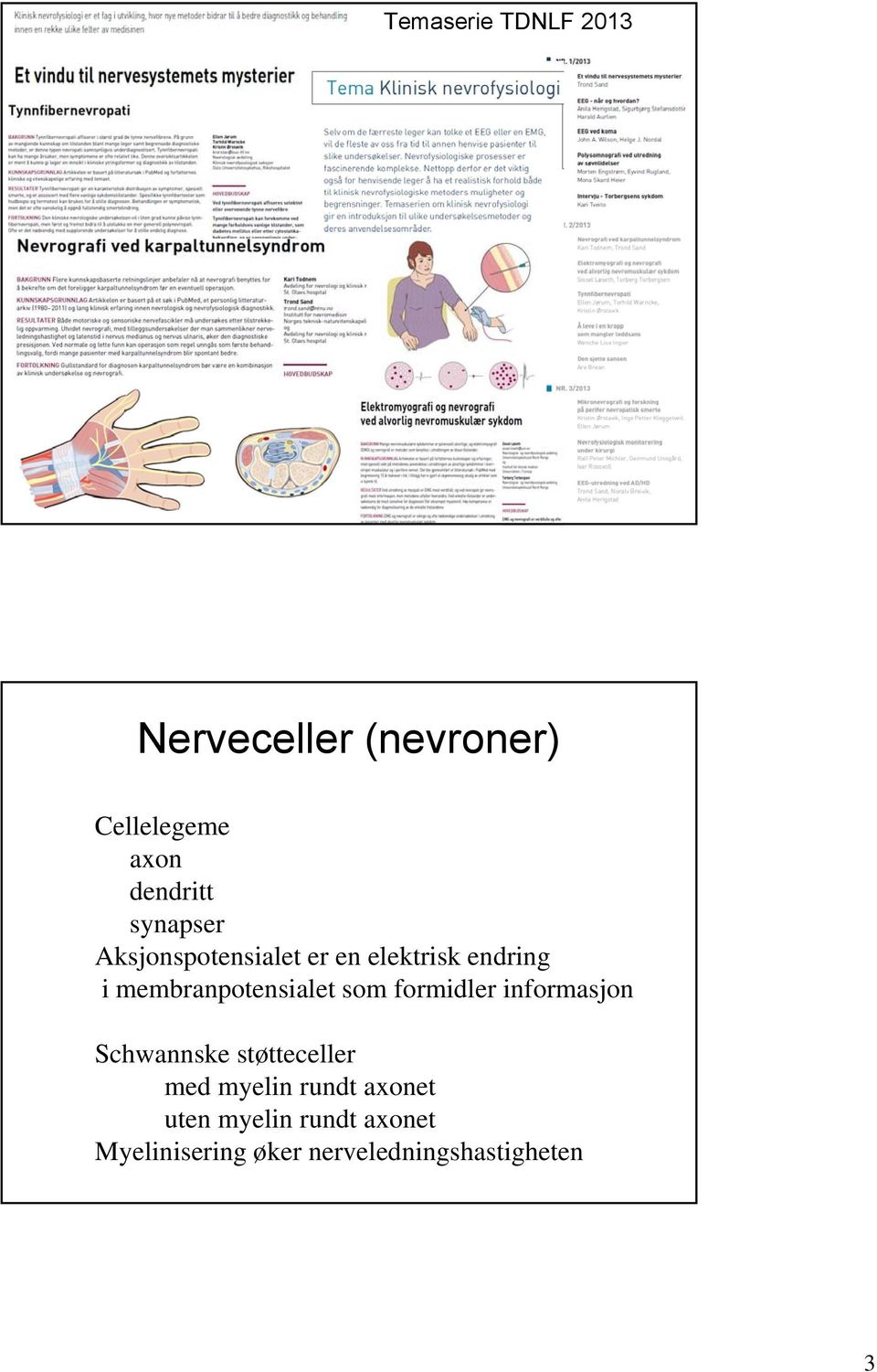 membranpotensialet som formidler informasjon Schwannske støtteceller