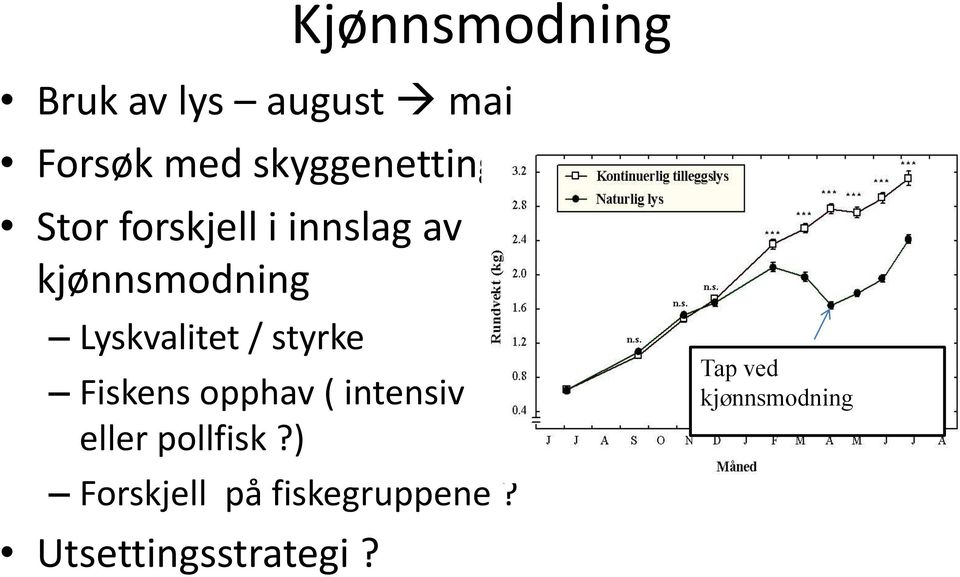 Lyskvalitet / styrke Fiskens opphav ( intensiv eller