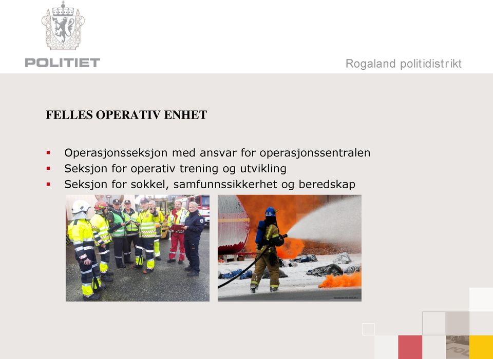 Seksjon for operativ trening og utvikling