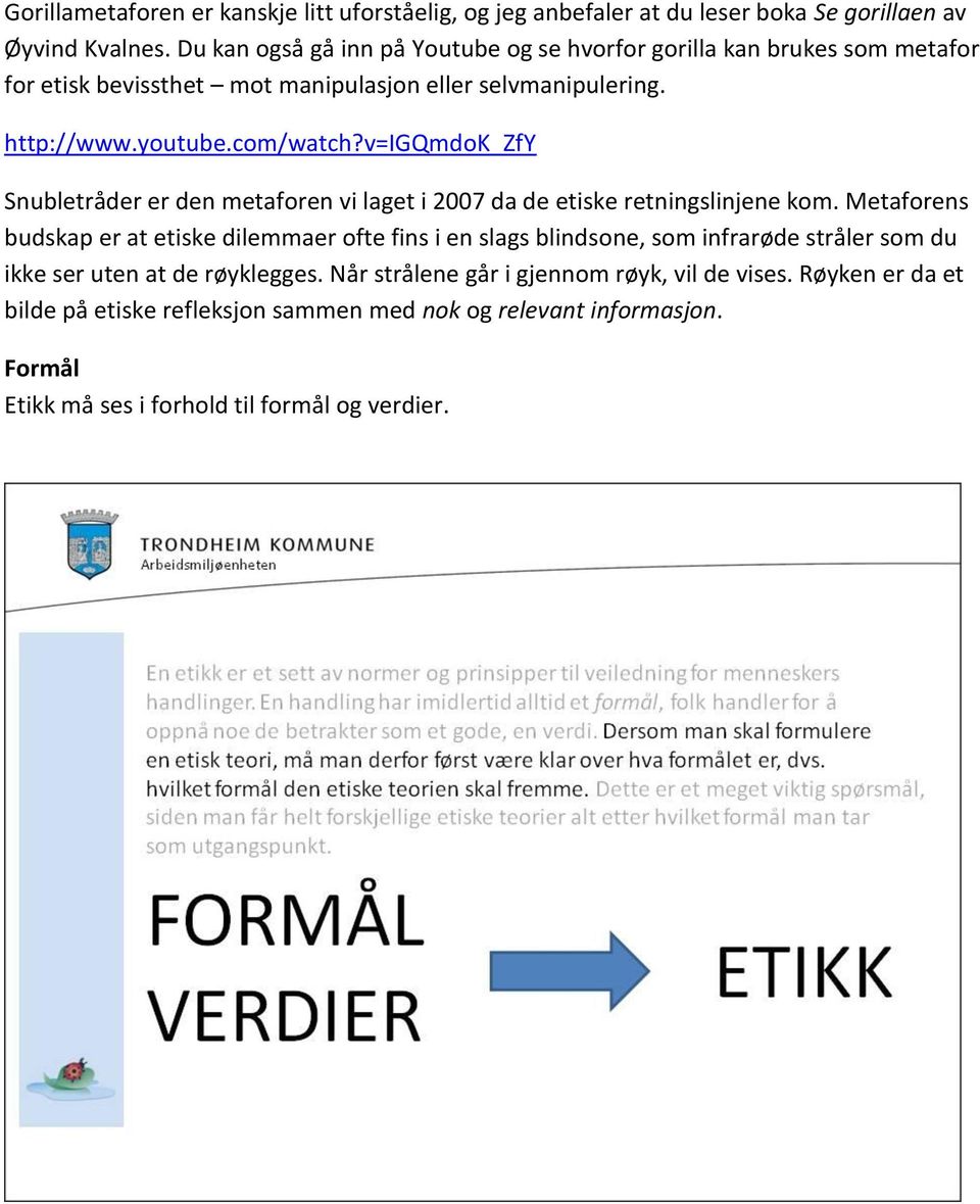 v=igqmdok_zfy Snubletråder er den metaforen vi laget i 2007 da de etiske retningslinjene kom.