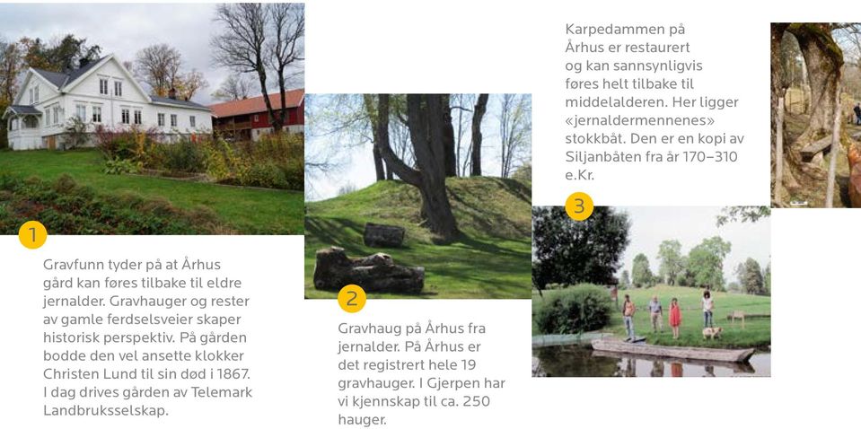 2 Gravhaug på Århus fra jernalder. På Århus er det registrert hele 19 gravhauger. I Gjerpen har vi kjennskap til ca. 250 hauger.