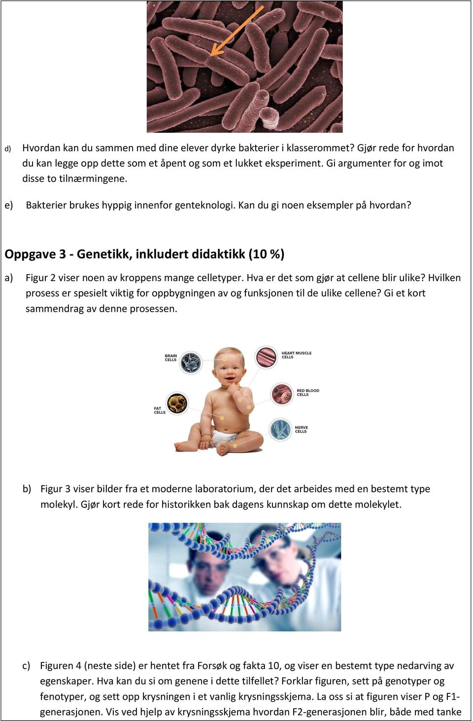 Oppgave 3 - Genetikk, inkludert didaktikk (10 %) a) Figur 2 viser noen av kroppens mange celletyper. Hva er det som gjør at cellene blir ulike?